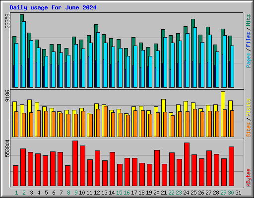 Daily usage for June 2024