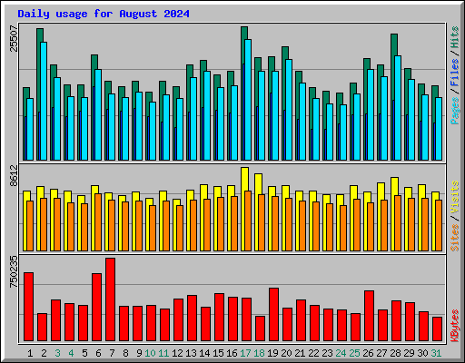 Daily usage for August 2024