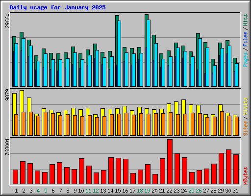 Daily usage for January 2025