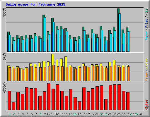 Daily usage for February 2025