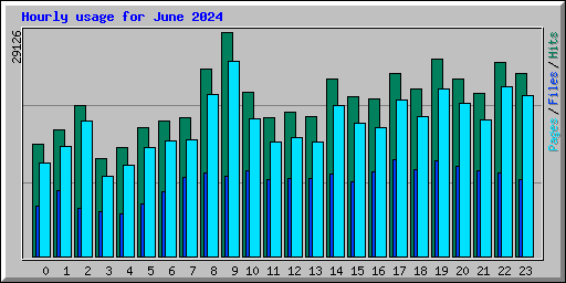 Hourly usage for June 2024