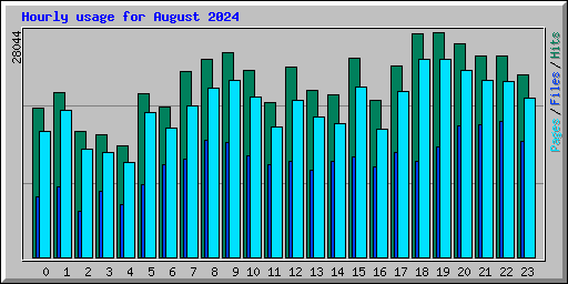 Hourly usage for August 2024