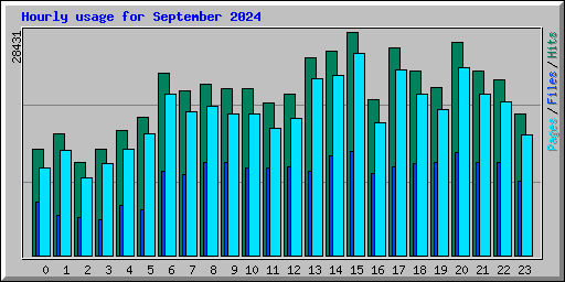 Hourly usage for September 2024