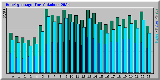 Hourly usage for October 2024