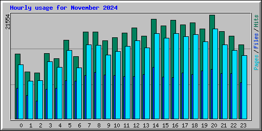 Hourly usage for November 2024