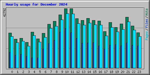 Hourly usage for December 2024