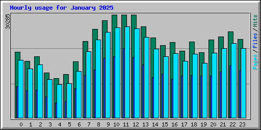 Hourly usage for January 2025