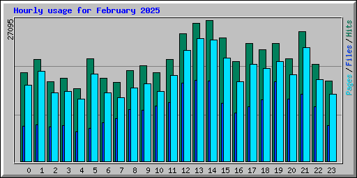 Hourly usage for February 2025